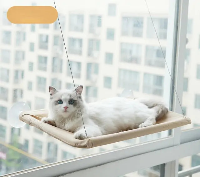 Cat Hanging Bed Shelf